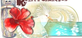 revoir l'introduction du site